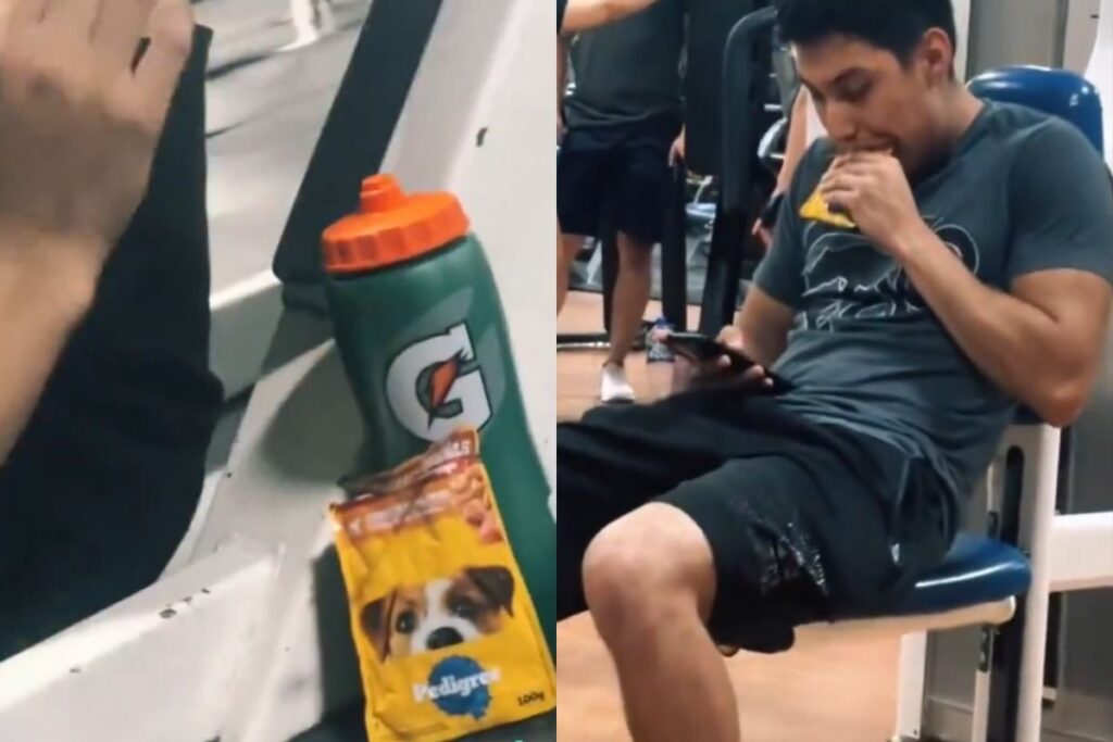 comida para perros gym
