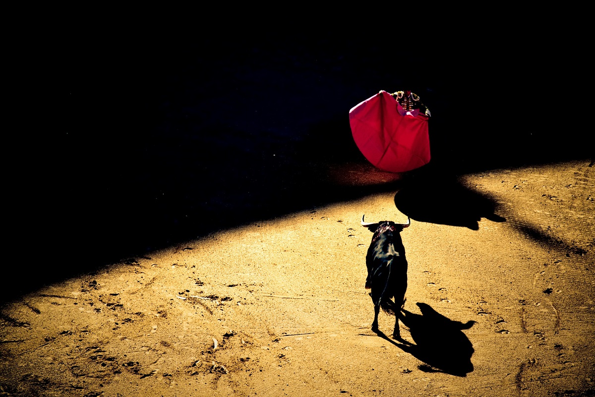 Jueza otorga suspensión de corridas de toros en Plaza México 1 Para defender derechos de los toros, jueza otorga suspensión de corridas en Plaza México