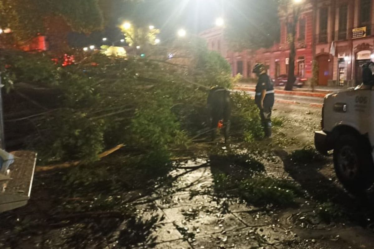 En la ciudad de Puebla, los fuertes vientos tiran ocho árboles 1 fuertes vientos en Puebla tiran 8 árboles