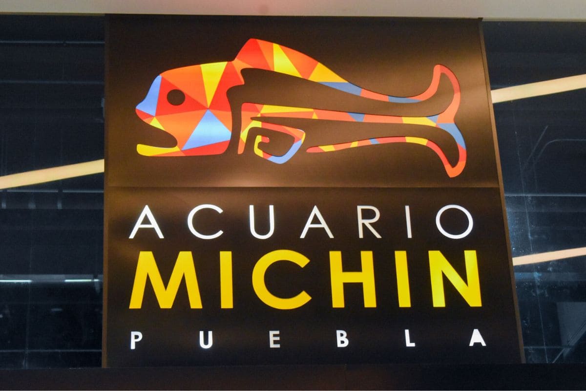 Día Internacional de los Museos: Celebra con entradas gratis a Disney Animation y el Acuario Michin 1 Noche de Museos 18 de mayo