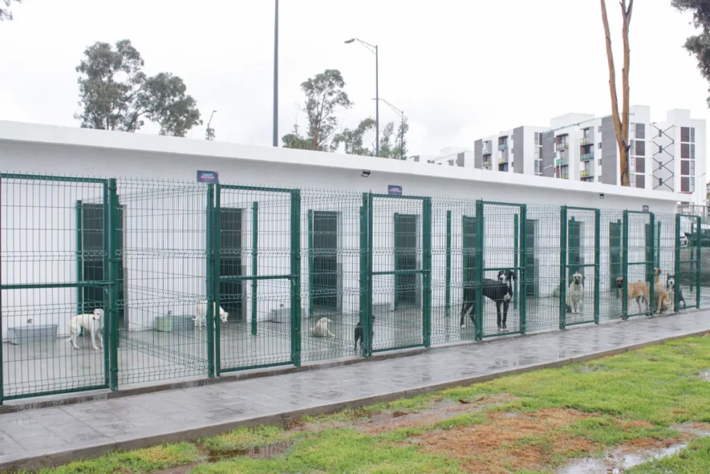 Adan Dominguez Estancia para el Bienestar Animal ayuntamiento de Puebla 4