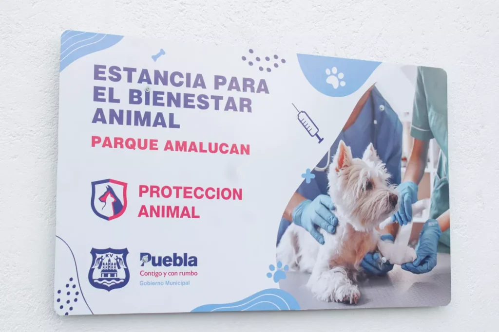 Adan Dominguez Estancia para el Bienestar Animal ayuntamiento de Puebla 9