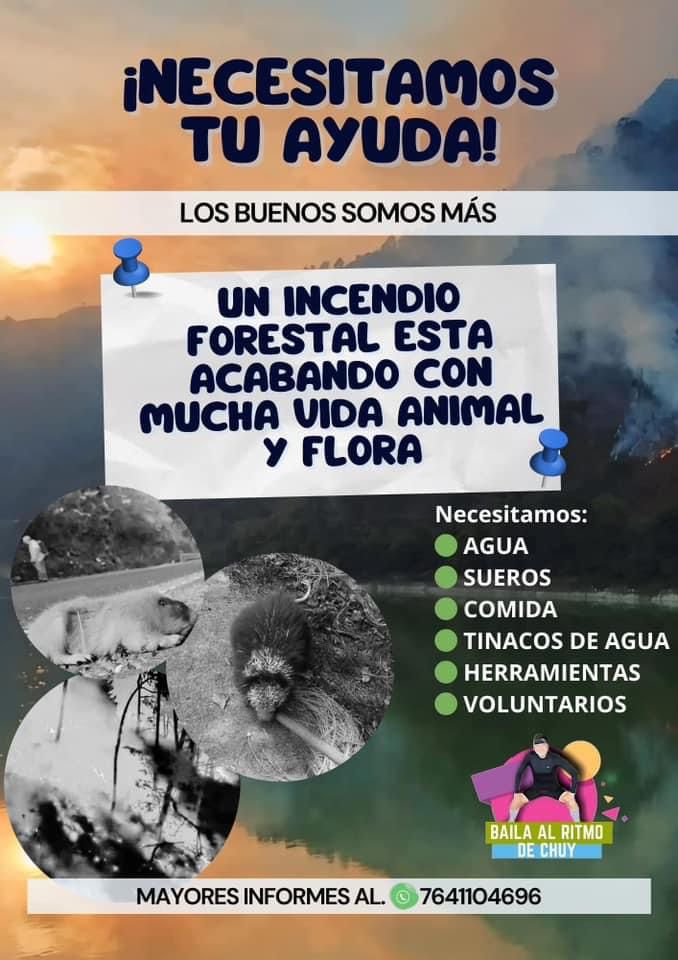 CENTROS DE ACOPIO SIERRA NORTE 3