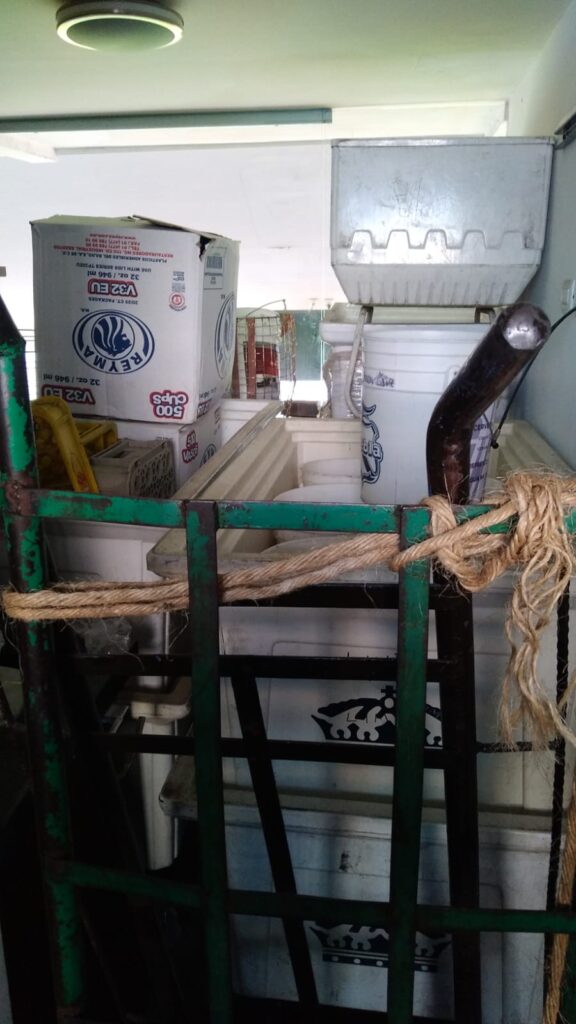 Entre el futbol y abusos 5