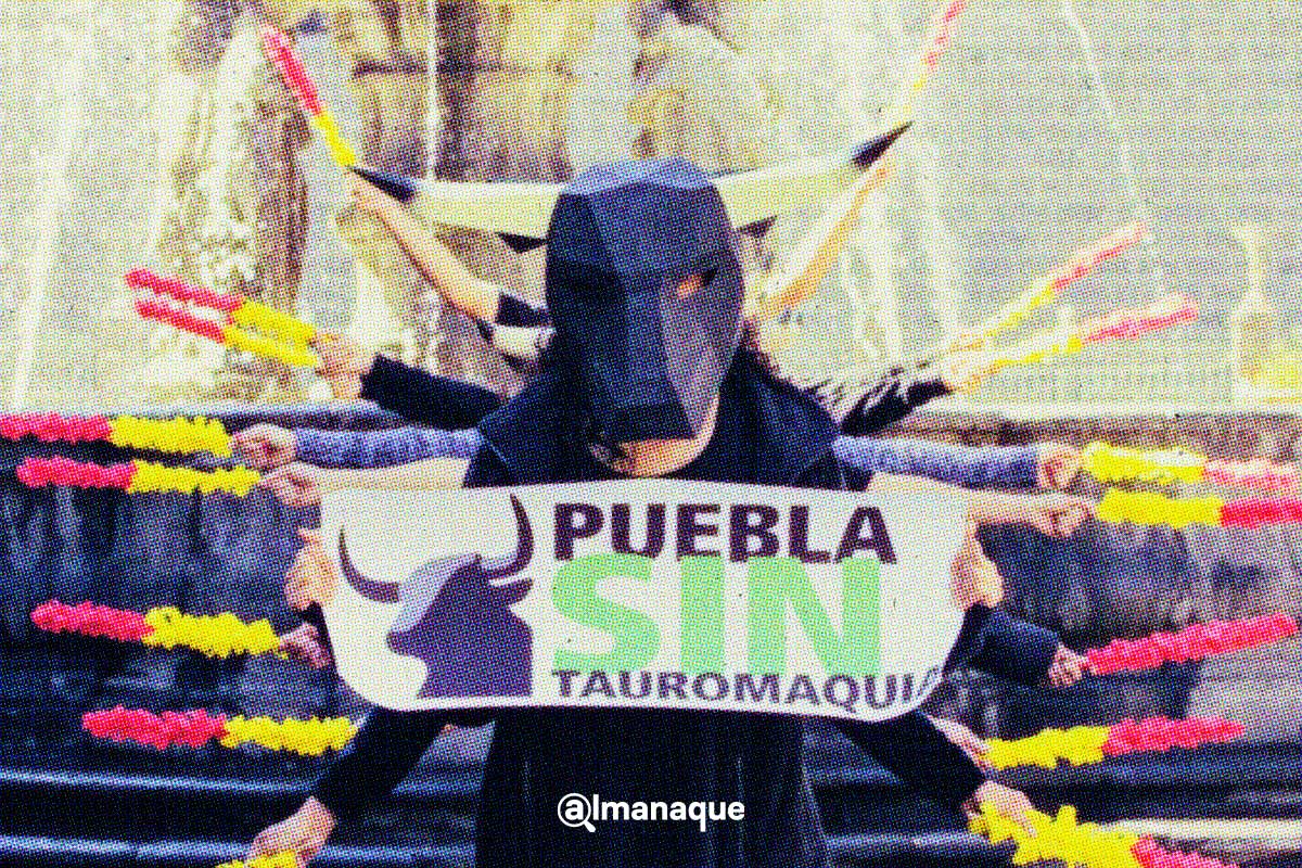 Día Mundial Antitaurino: Estos municipios de Puebla prohíben las corridas de toros 1 Estos son los municipios de Puebla que prohiben las corridas de toros