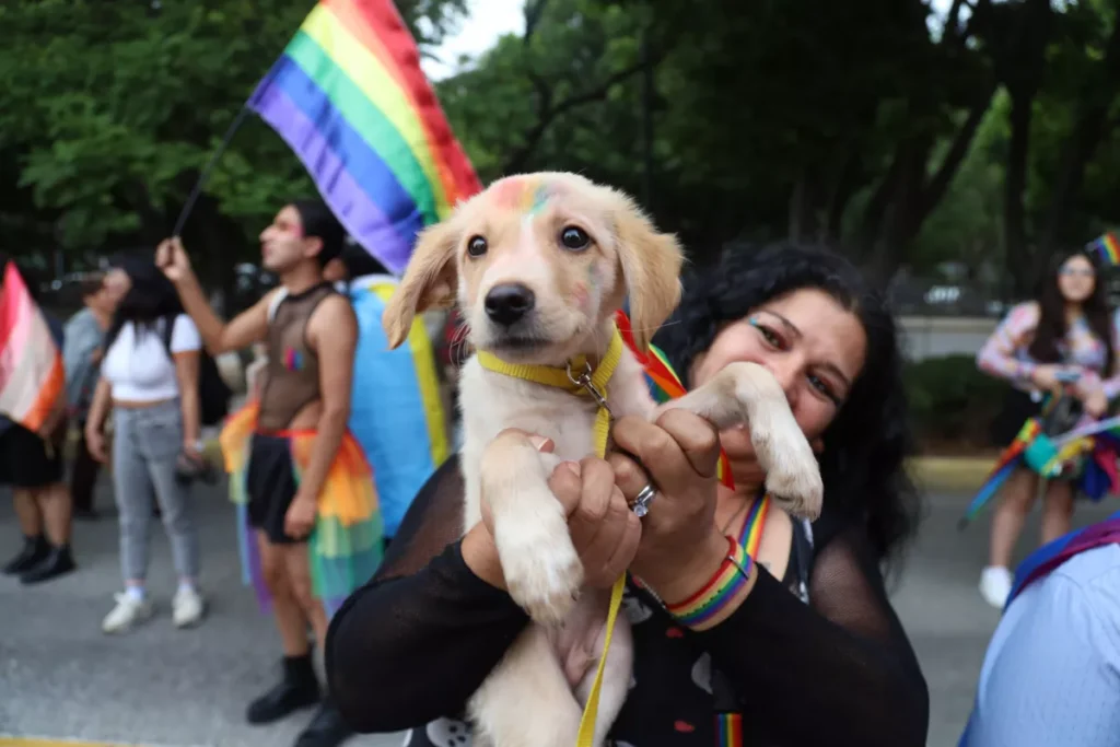 Marcha orgullo LGBT Puebla 2024 47