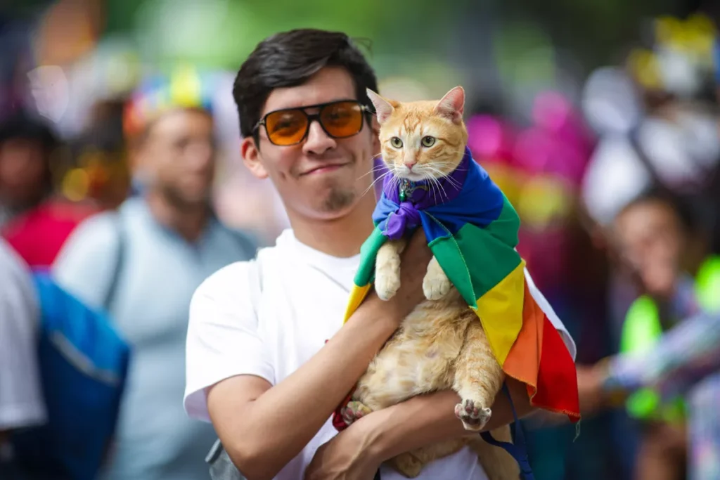 Marcha orgullo LGBT Puebla 2024 5