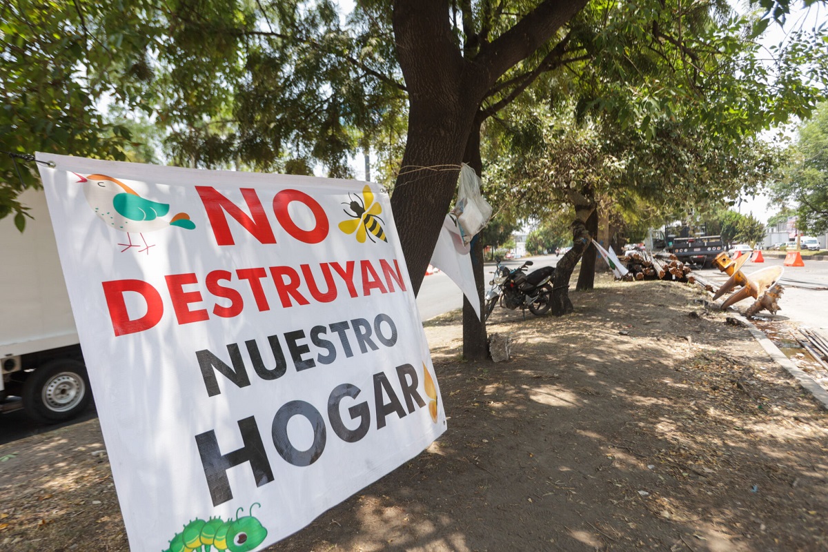 Sembrarán 500 árboles en el Cerro de Amalucan por obras en el Entronque 1 Sembrarán 500 árboles en el Cerro de Amalucan por obras en el Entronque