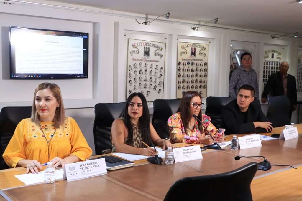 Aprueba Comisión del Congreso que Ayuntamientos destinen espacios para "nenis"