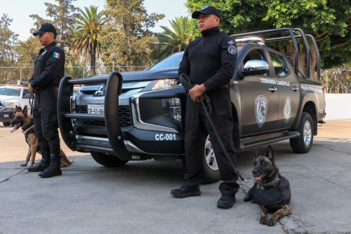 Obtiene Comando Canófilo certificación internacional: SSP 1 comando Canófilo certificación SSP Puebla