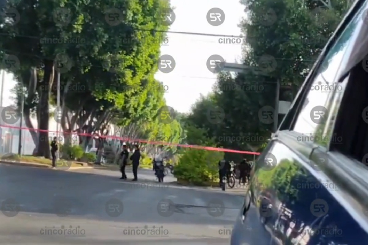 Feminicidio en Puebla: Abandonan cuerpo desnudo de una mujer entre los arbustos 1 Feminicidio en Puebla: Abandonan cuerpo desnudo de una mujer entre los arbustos