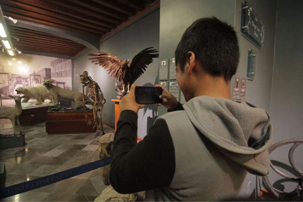 sacar celular museos del INAH