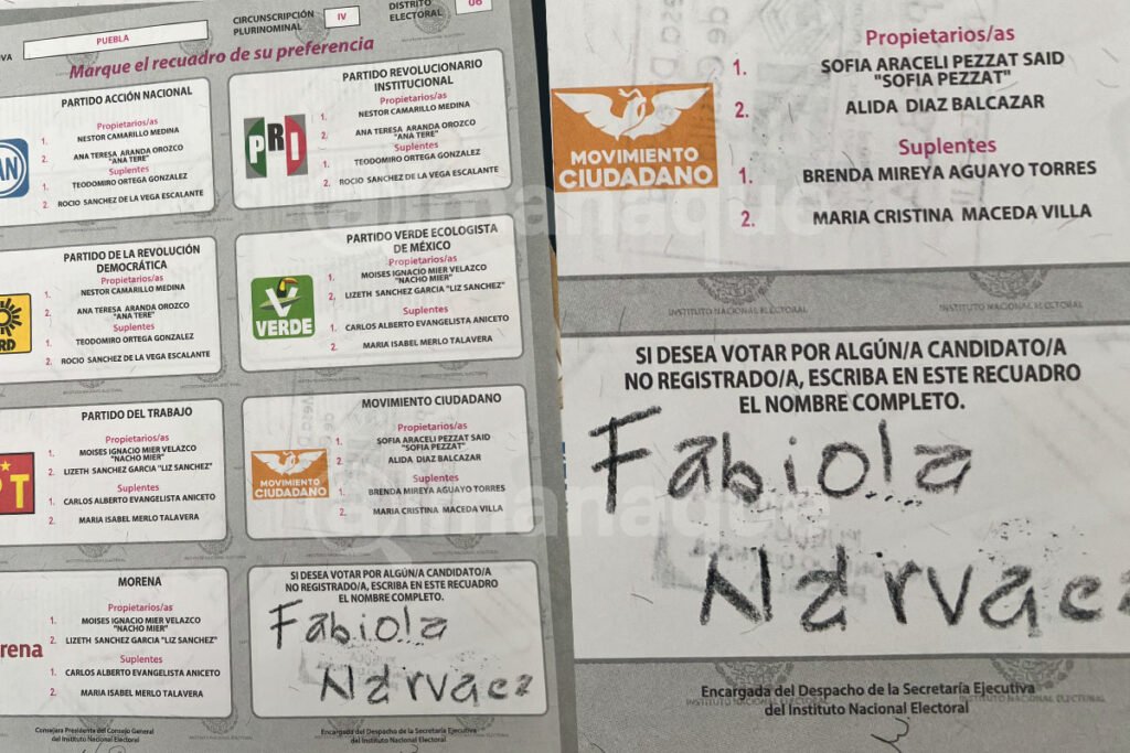 voto nulo desaparecidos fabiola narvaez
