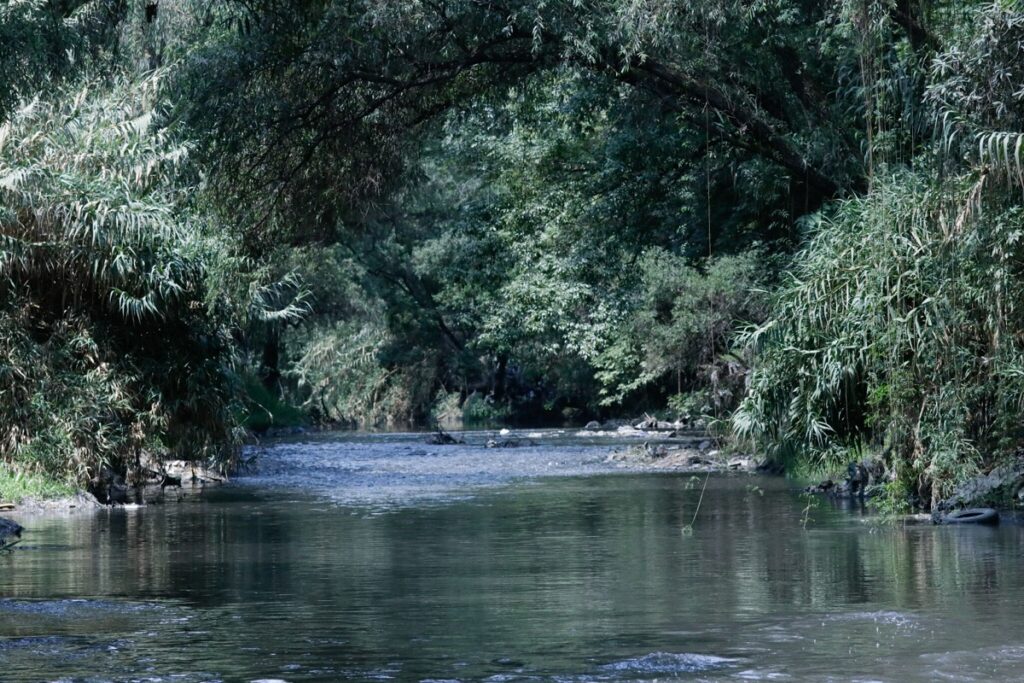 Agua de Puebla pide ocultar reportes de saneamiento de ríos