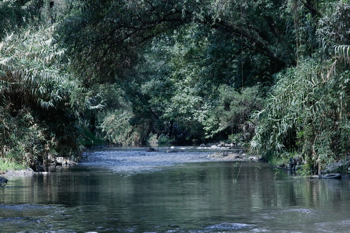 Agua de Puebla pide ocultar reportes de saneamiento de ríos 1 Agua de Puebla pide ocultar reportes de saneamiento de ríos