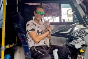 Zafiro, el gato microbusero de Puebla