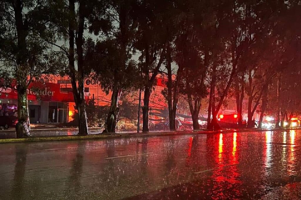 Muere un hombre de la tercera edad al caerle un árbol en el Bulevar Norte