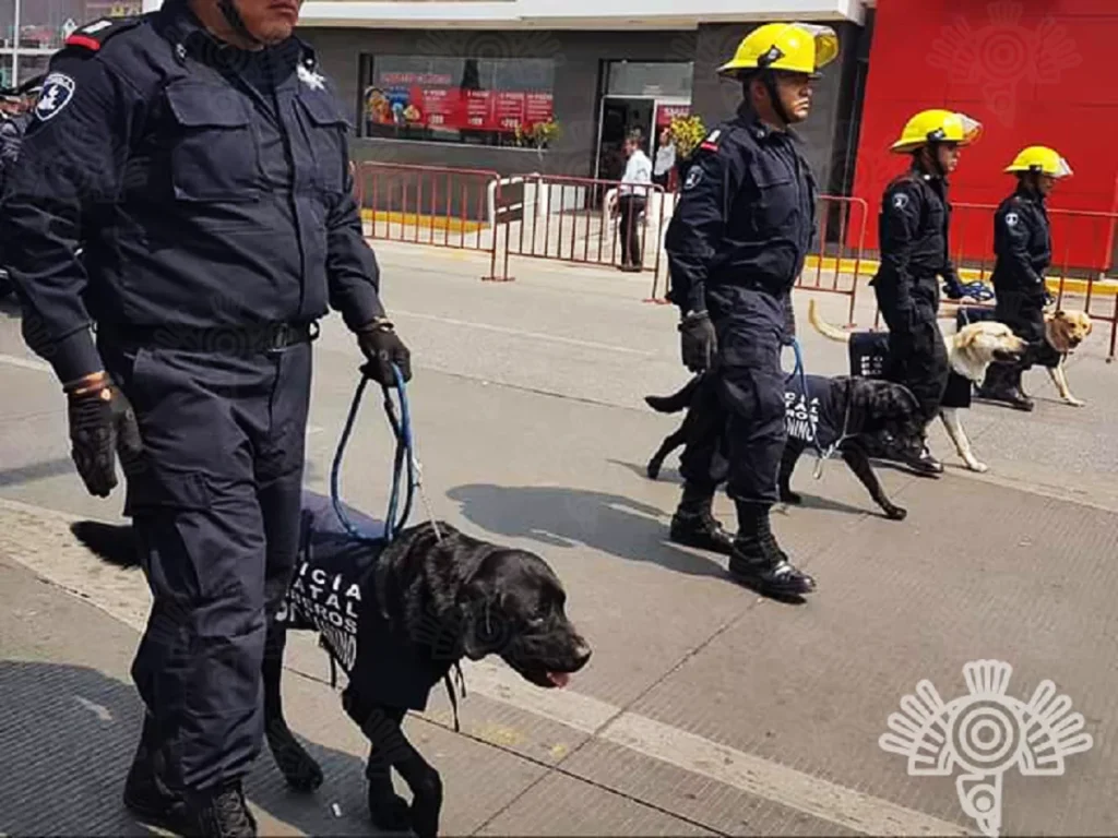 Despide SSP con honor a Dana ejemplar canina de Bomberos 2