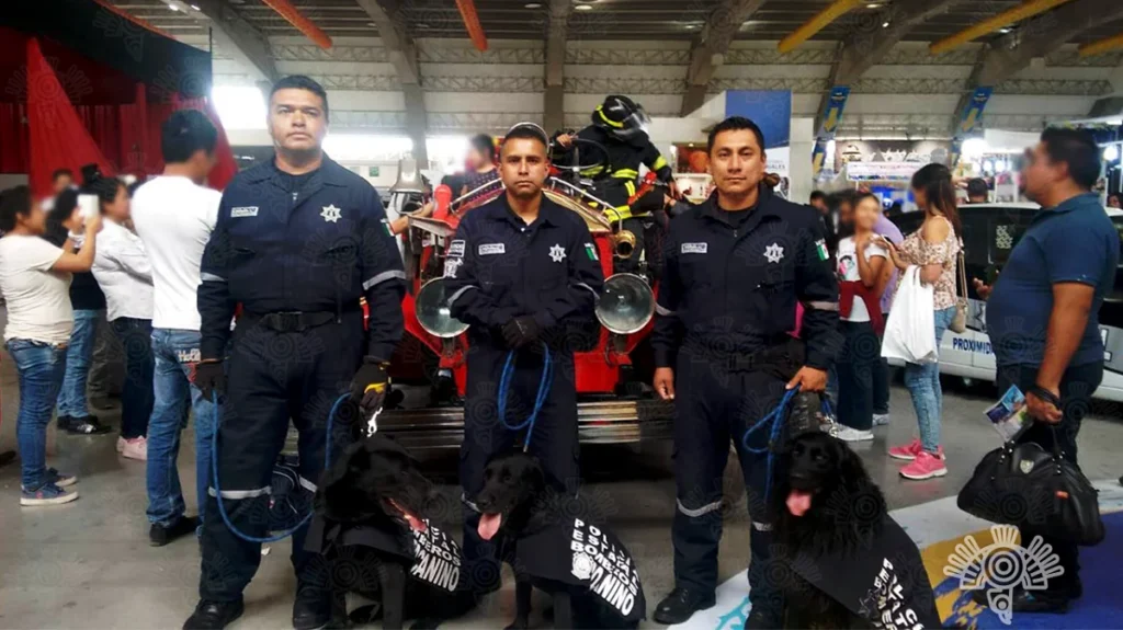 Despide SSP con honor a Dana ejemplar canina de Bomberos 3
