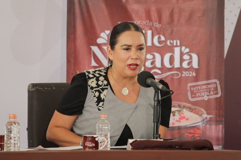 Martha Ornelas explica sobre la regulación de Airbnb en Puebla