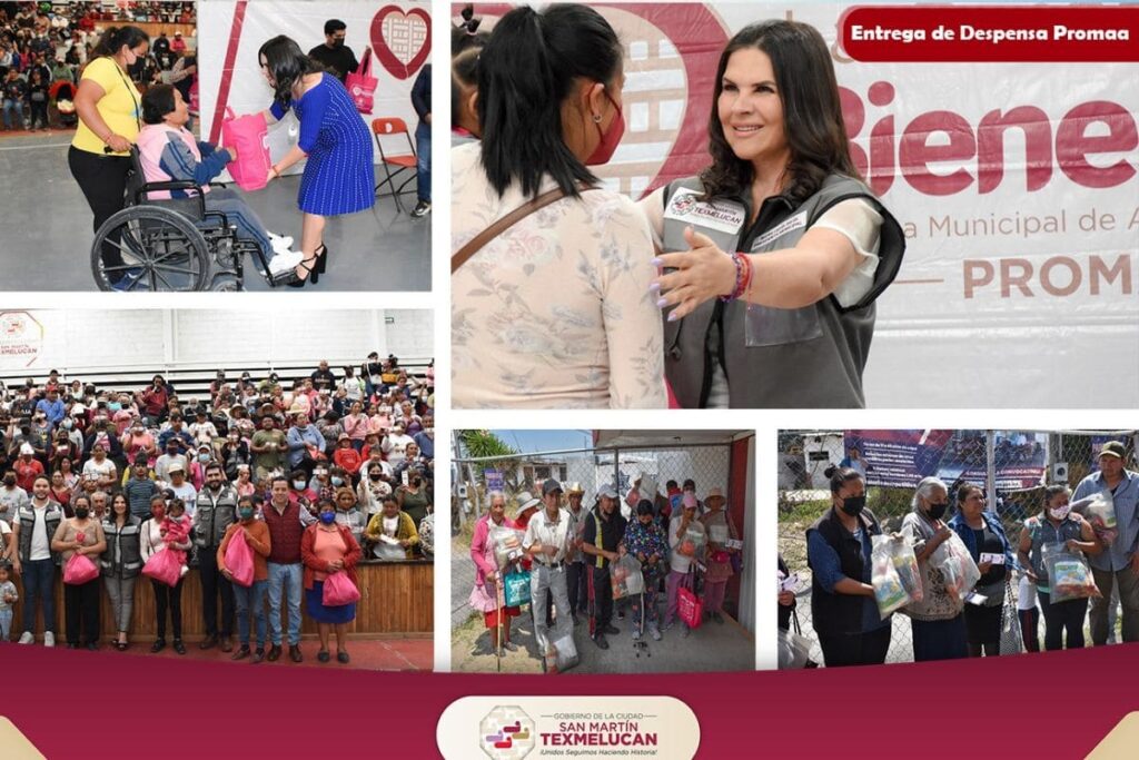 acciones Norma Layón