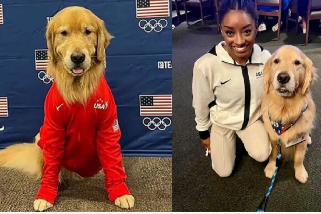 Beacon, el perro del equipo de Gimnasia de Estados Unidos que apoya a Simone Biles