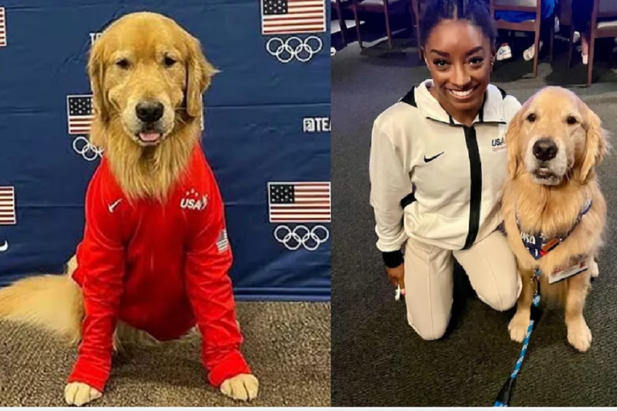 Beacon, el perro del equipo de Gimnasia de Estados Unidos que apoya a Simone Biles 1 Beacon, el perro del equipo de Gimnasia de Estados Unidos que apoya a Simone Biles