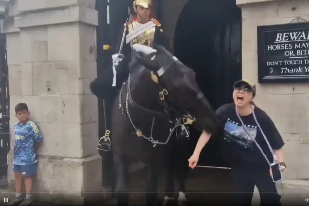 Se le advirtió: Caballo de la Guardia Real de Reino Unido muerde a turista