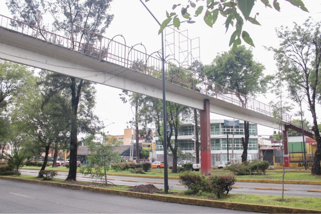 cierres por retiro de puente peatonal del CENHCH