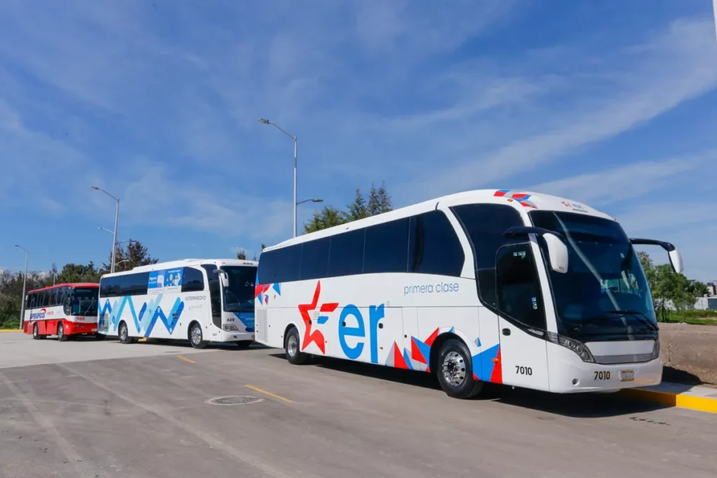 lineas y aspectos CAPU sur Puebla