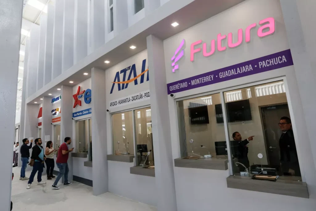 lineas y aspectos CAPU sur Puebla 2