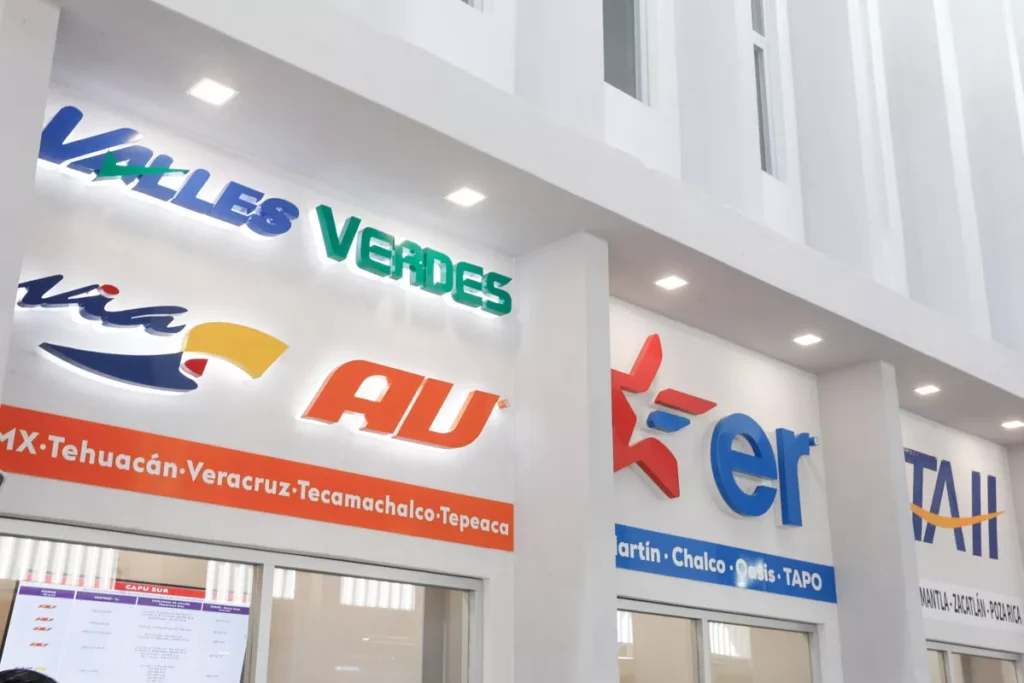 lineas y aspectos CAPU sur Puebla 4