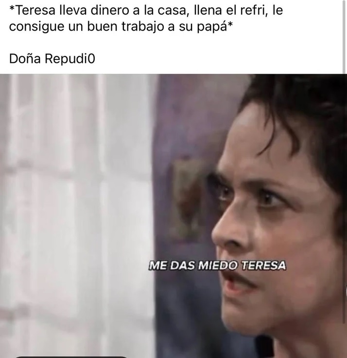 meme dona refugio 2