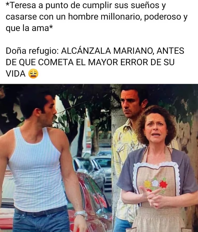 meme dona refugio 5