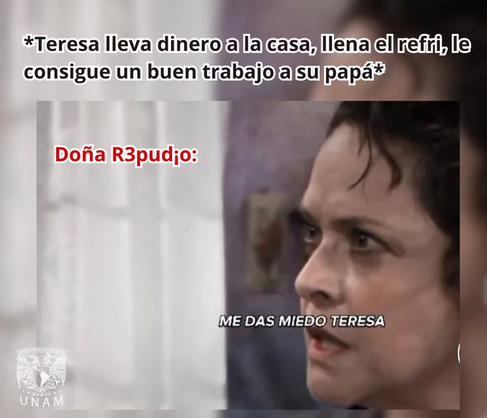 meme dona refugio 7
