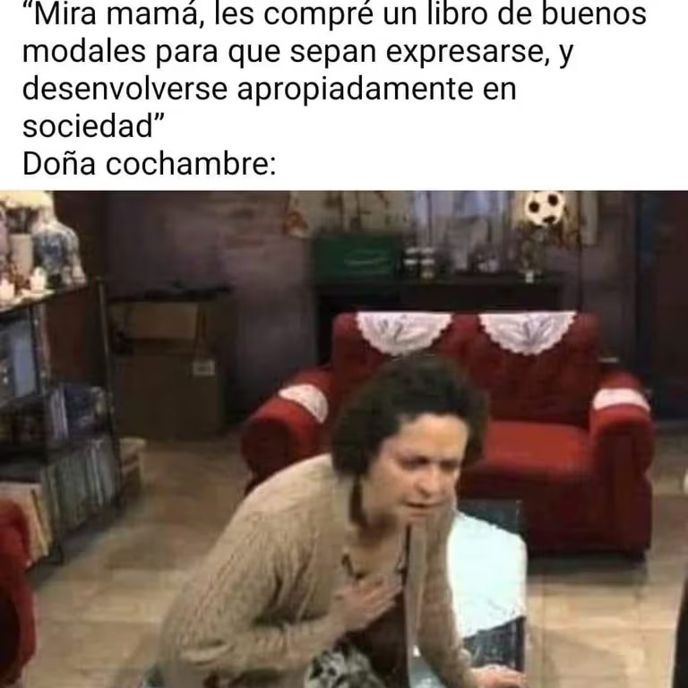 meme dona refugio 8