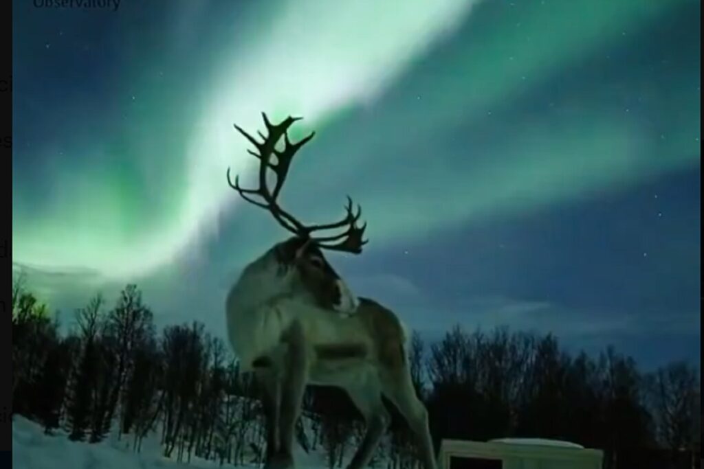 ¿Regresarán las auroras boreales? Pronostican nuevas tormentas solares durante esta semana