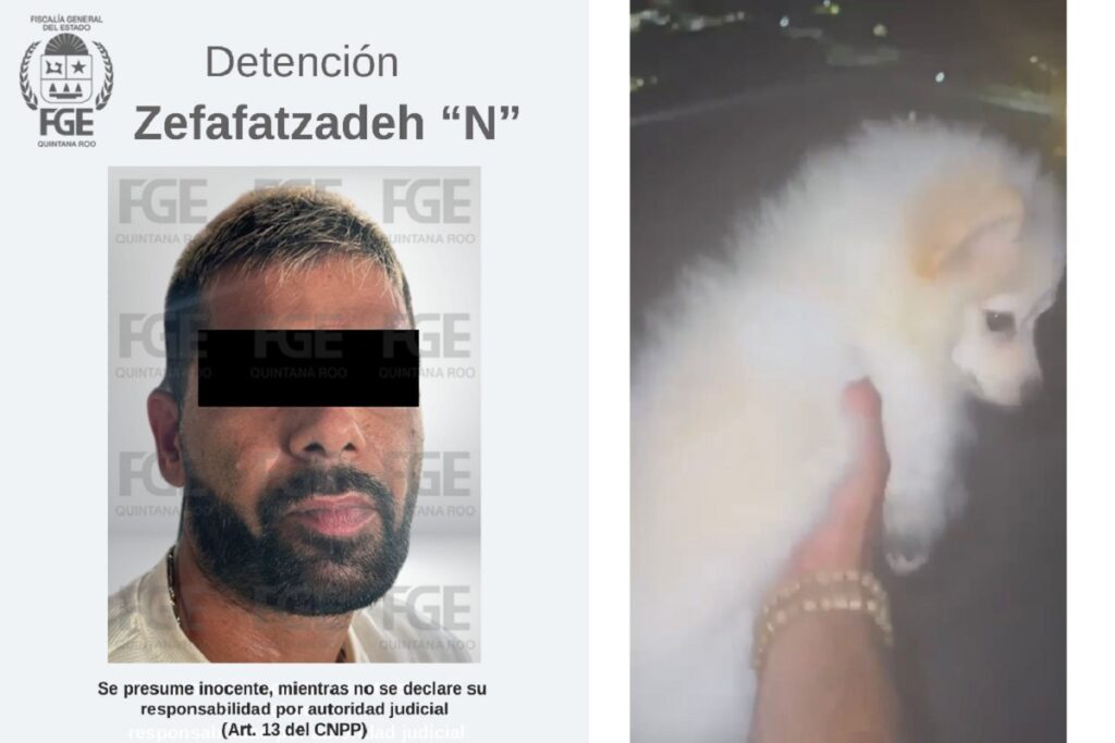 Indignante Turista iraní mata a un perrito tras arrojarlo del octavo piso de un edificio en Cancún