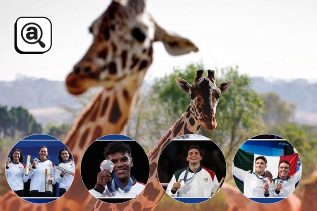 Africam Safari medallistas olímpicos