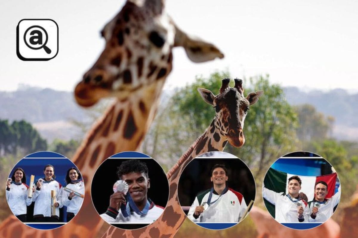 Africam Safari medallistas olímpicos