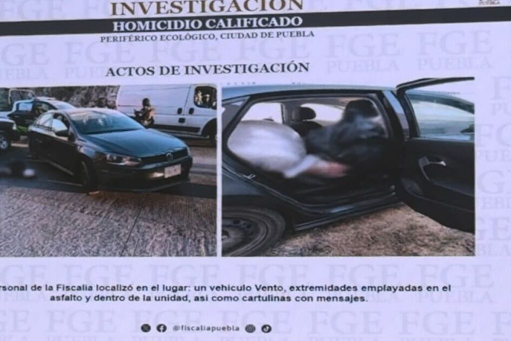 cuerpos en periferico ecologico evidencia