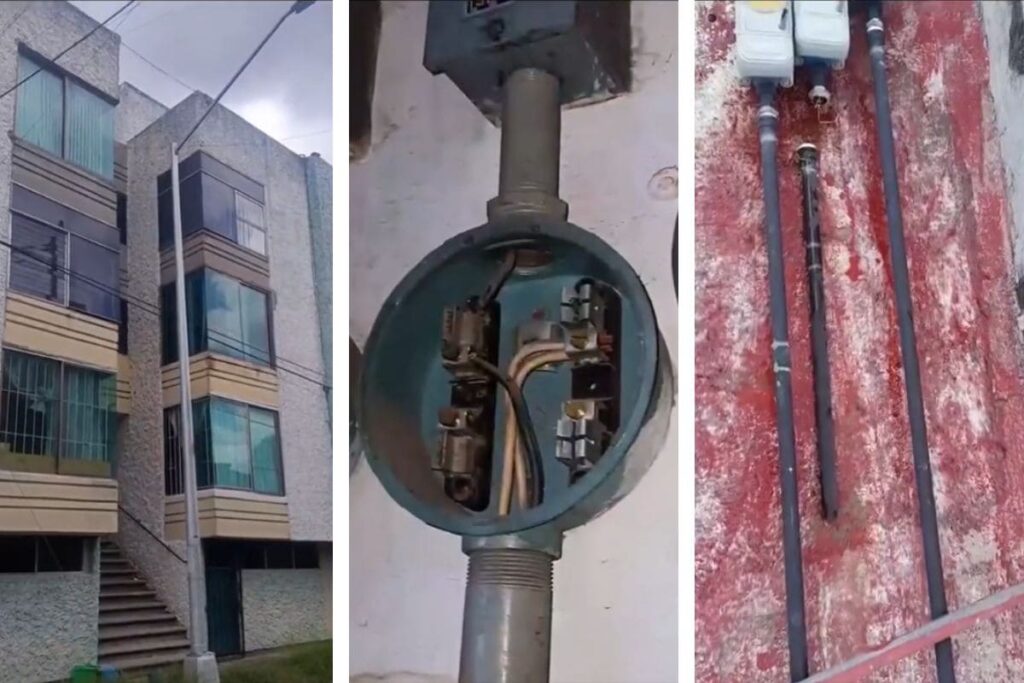 Maltrato animal en Puebla: Hermanos intentan envenenar mascotas de sus inquilinos en la colonia El Mirador 5 evidencia maltrato animal colonia el mirador