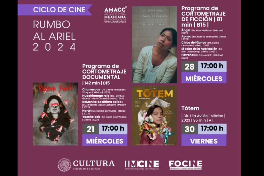 peliculas rumbo al ariel 2024 puebla