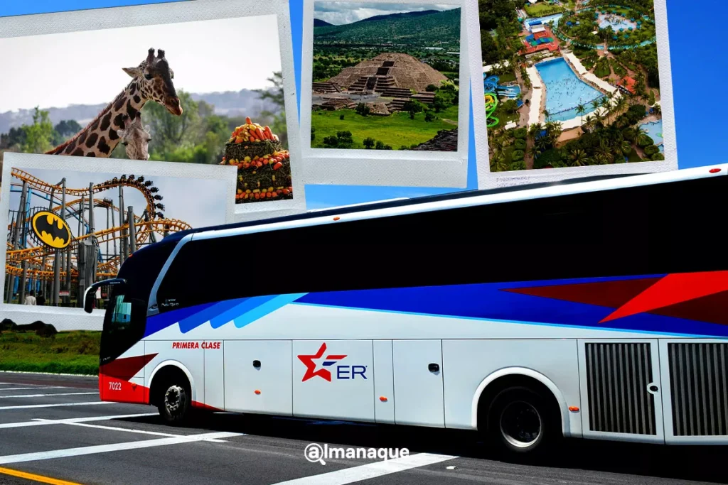 portada Estos son los paquetes diversion de Estrella Roja