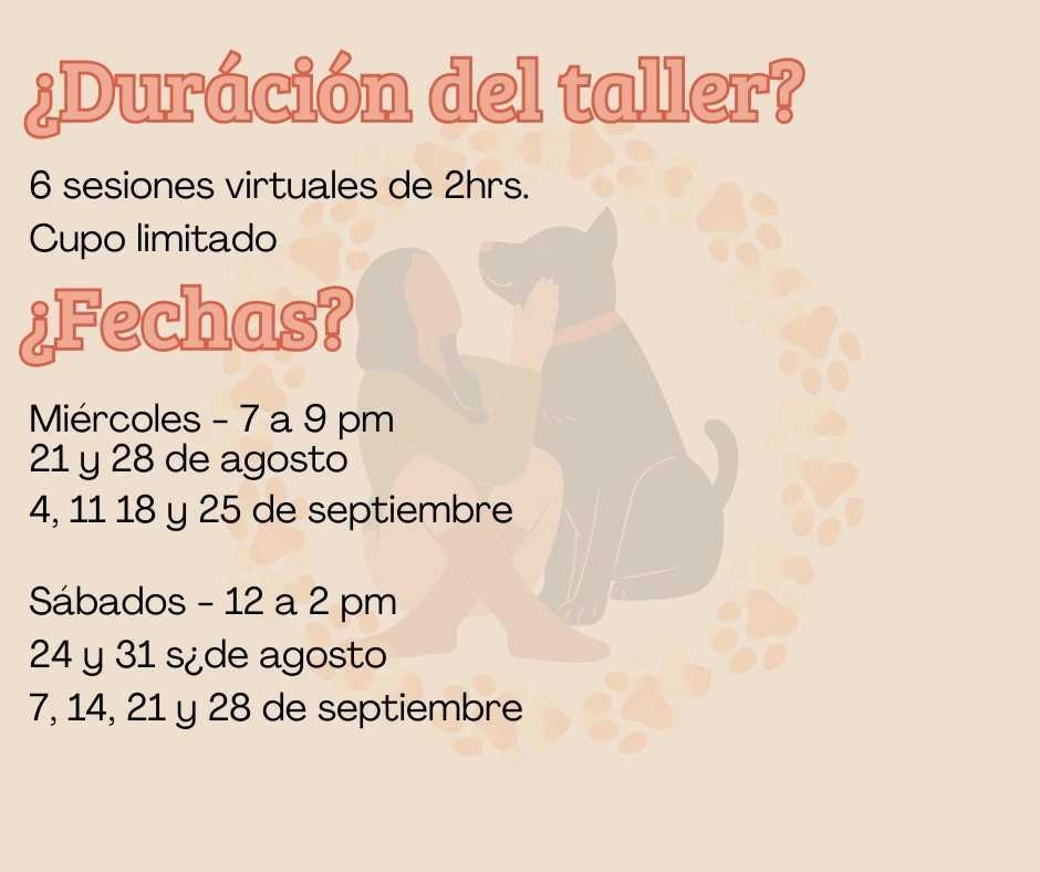 taller de lenguaje y espejo canino 1