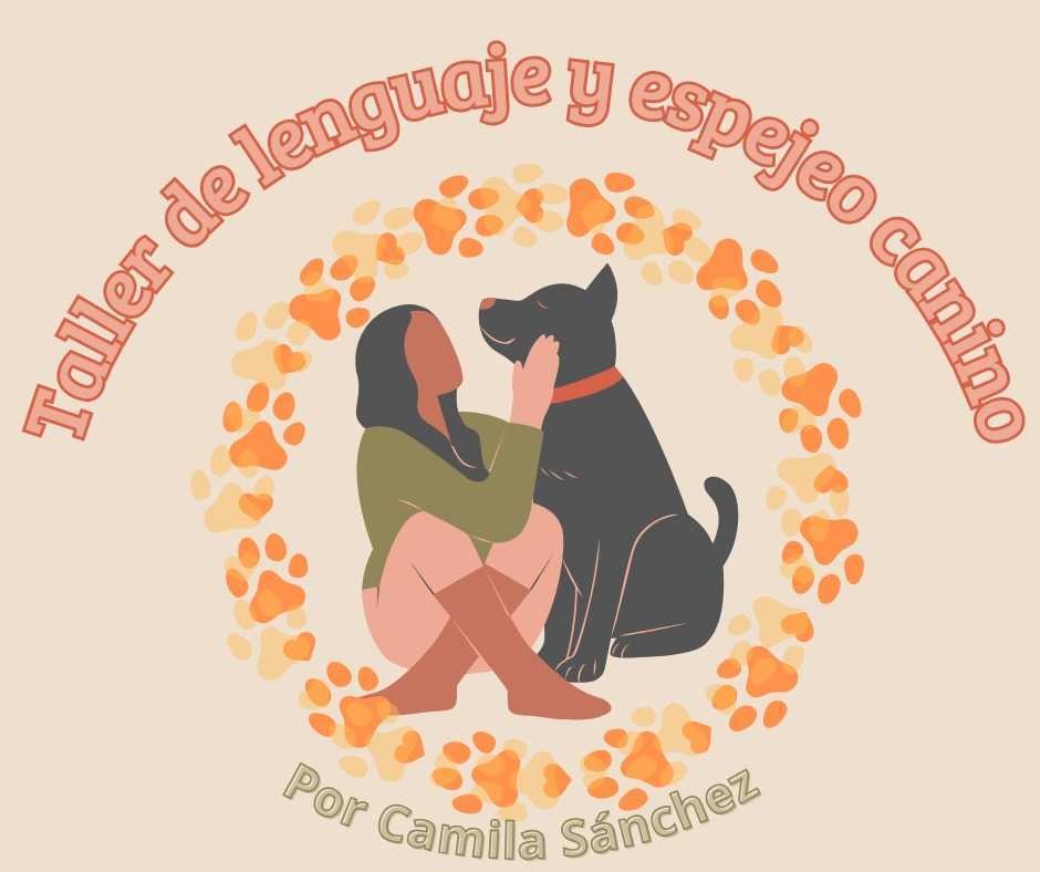 taller de lenguaje y espejo canino