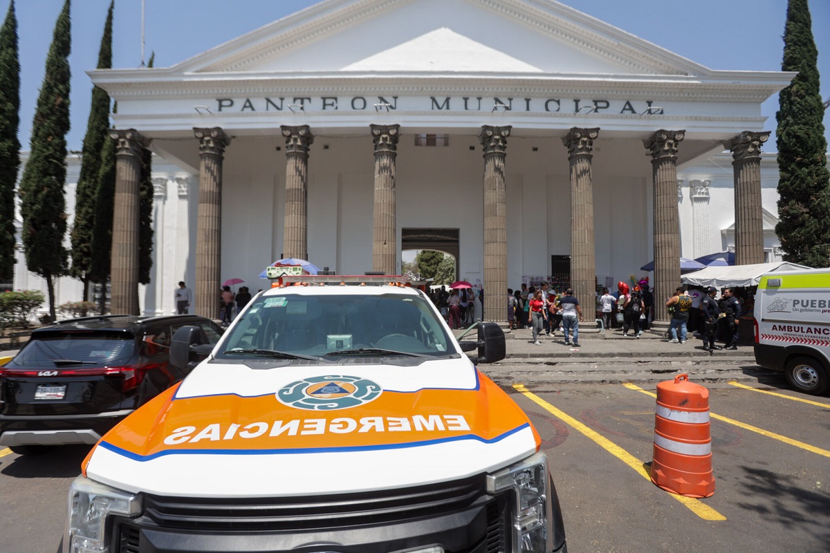 80 gatos viven en el Panteón Municipal de Puebla, denuncia asociación 1 80 gatos viven en el Panteón Municipal de Puebla, denuncia asociación