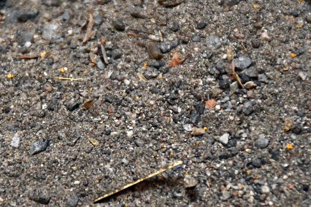 encuentran metales pesados en polvo en calles de puebla