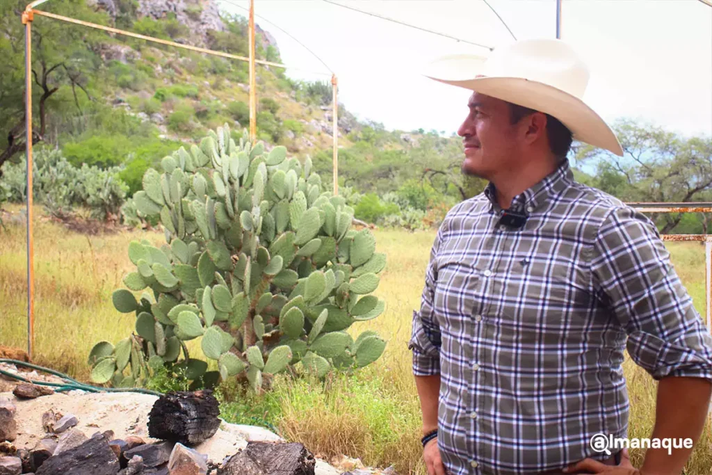 Así es el proceso de destilación del mezcal en el rancho Cordero Negro en Tehuacán 2 Proceso de destilacion rancho cordero negro Tehuacan 8