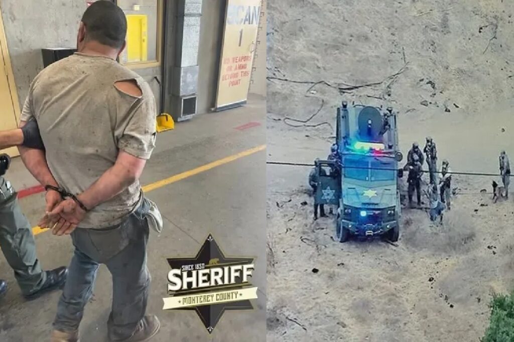 Tiroteo en California deja 81 animales muertos